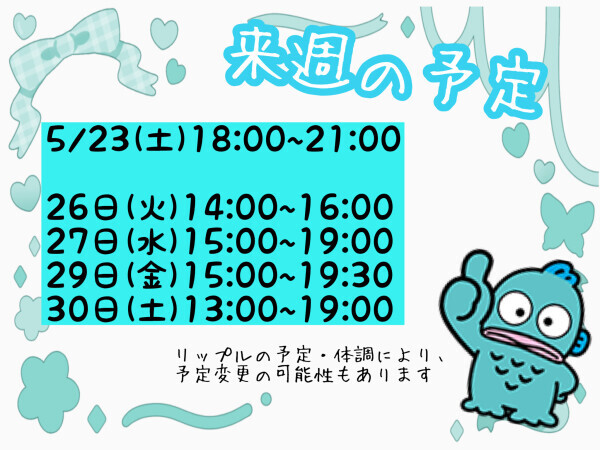 明日追加と来週の予定?