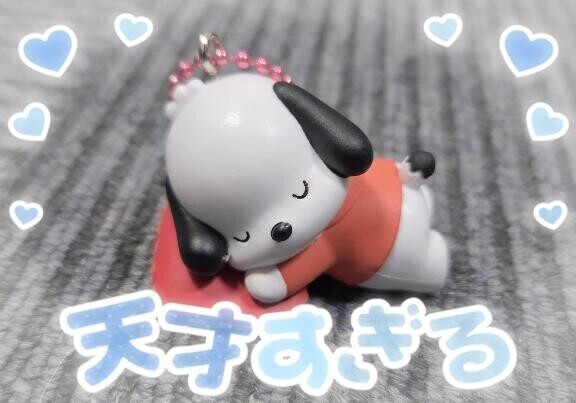 たいきん！！！