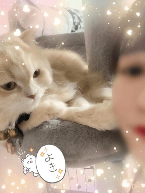 おはよ??