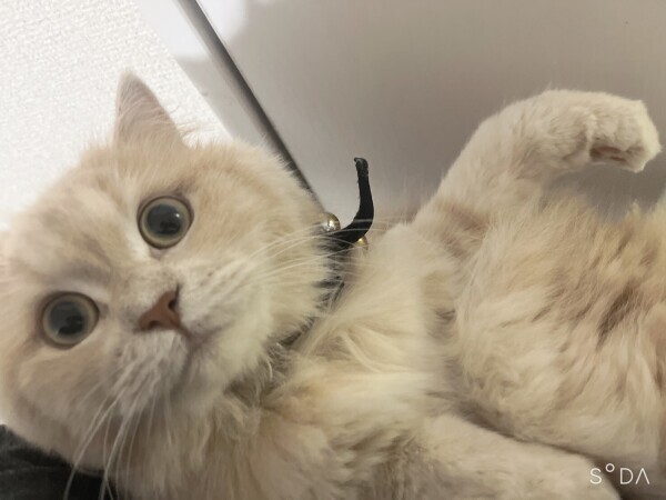明日時間変更です???♀?