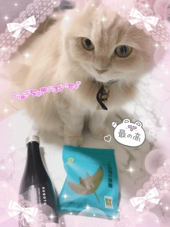 今日もありがとう??