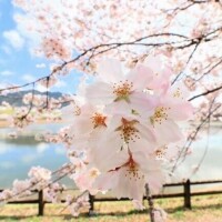 みさき
