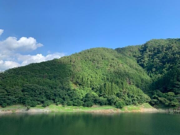 むぎの夏休み