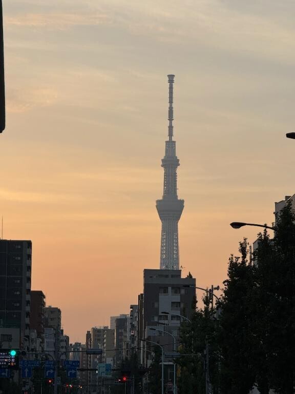 お日様さんさん?