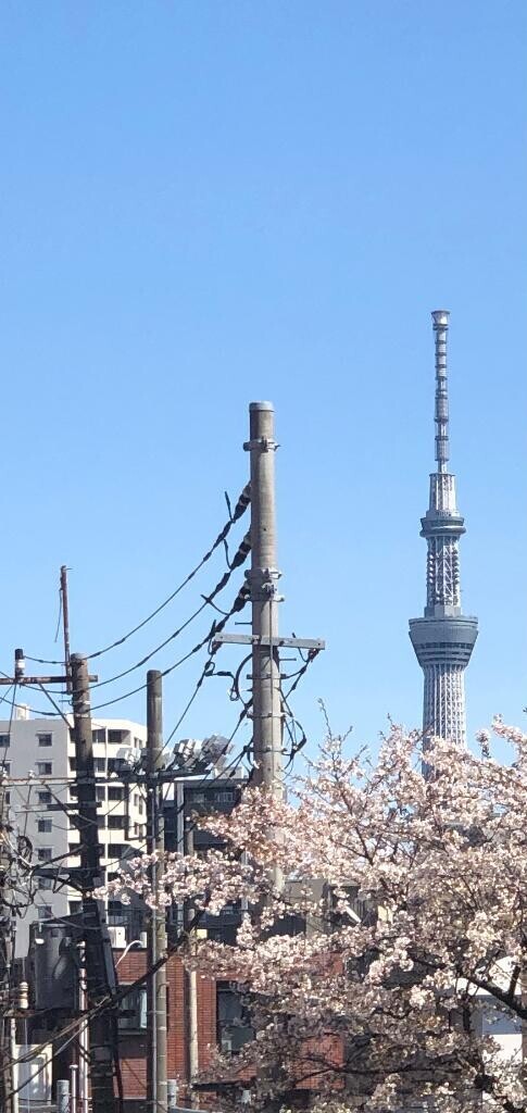 公園デートとかしてみたい?