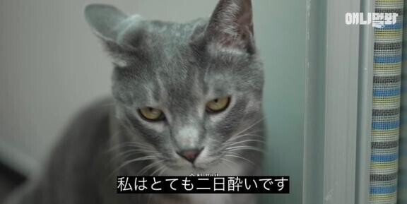 ?????????