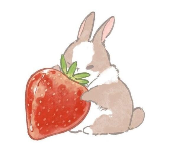 ? 4/5. ピードア  Yさん