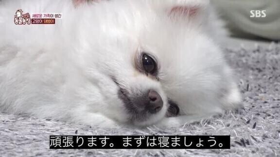 ?完売御礼?