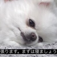 かな