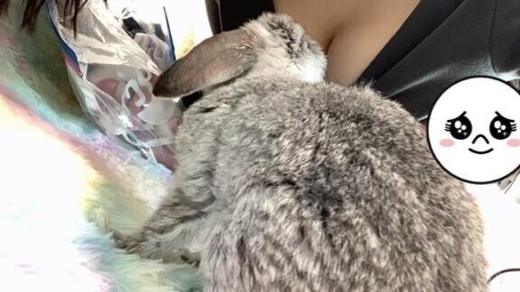 よろしくお願いします?