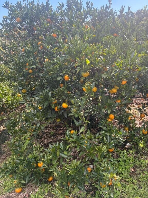 明日出勤します(^^)