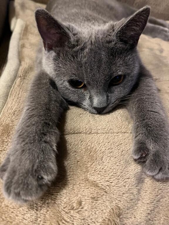 13時から出勤します