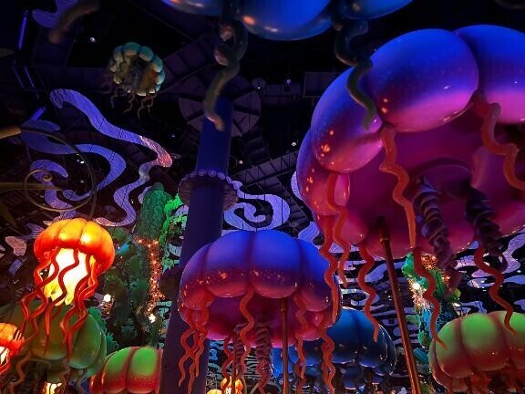 雨降ってきちゃったね??