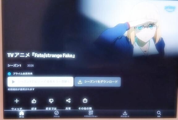 偽りの聖杯戦争