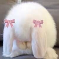 はるか