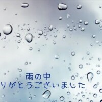 せいこ