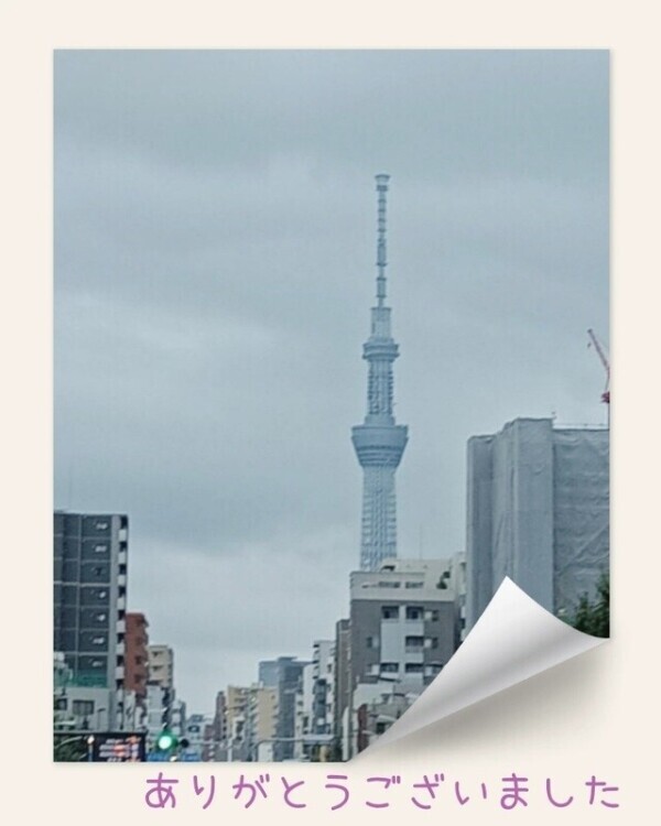 今日は
