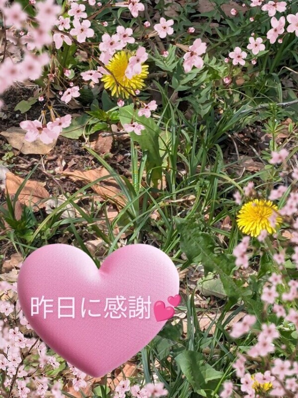 昨日に感謝💋