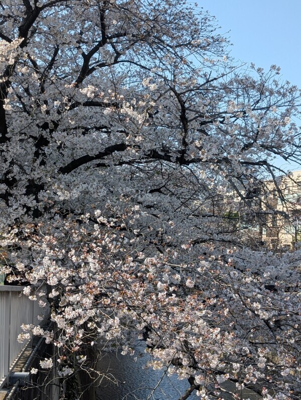 今日は17時だよ❤️