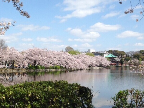 おはようございます