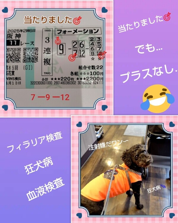 あかね🎵