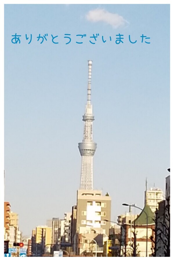今日は