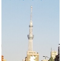 せいこ