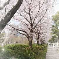 はるの