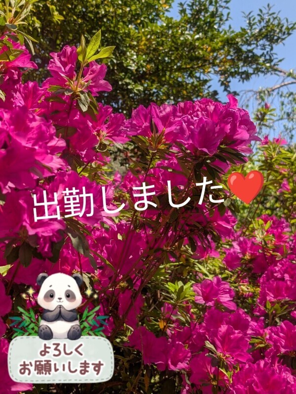 出勤したよ❣️