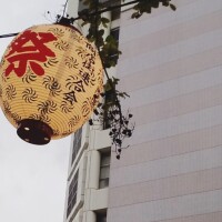 せいこ