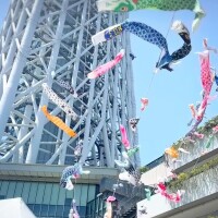 さやか