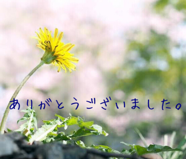 今日も