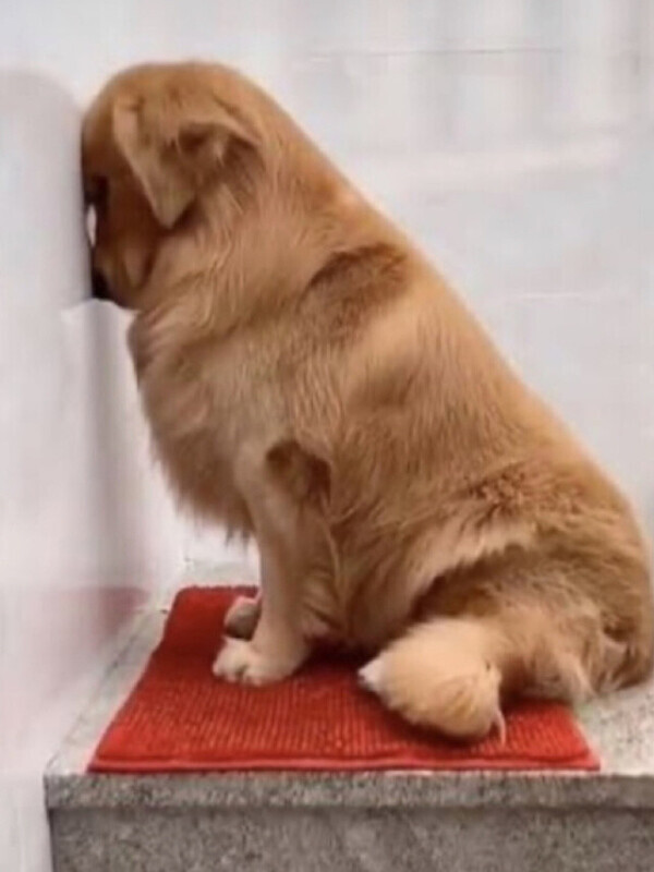 こんにちは。