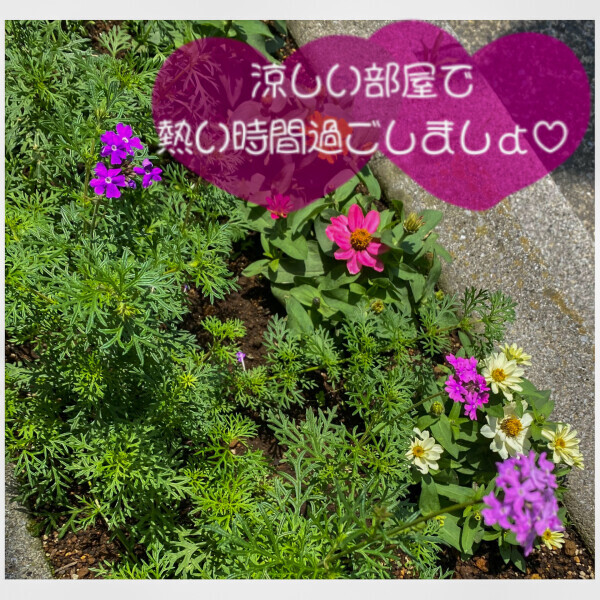 熟女デリヘル秘宝館Ｚ ゆみな