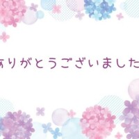 せいこ