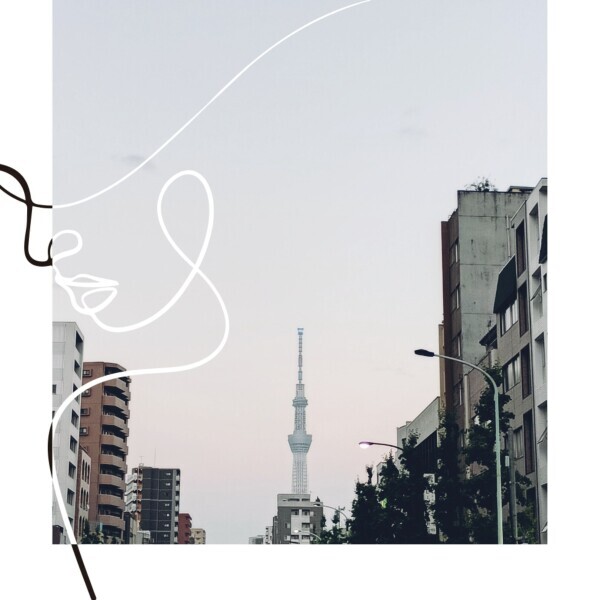 今日は