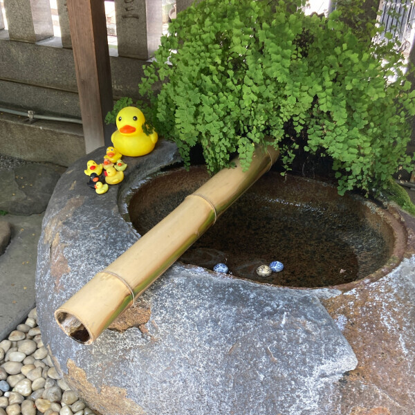 こんにちは😀