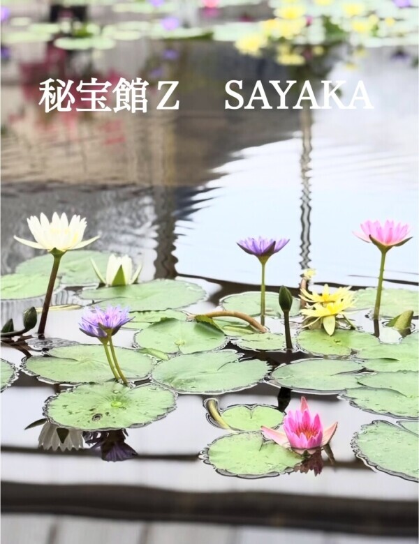 ♡さやかです♡