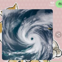 つくし