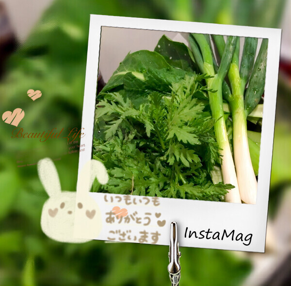 熟女デリヘル秘宝館Ｚ ゆみな