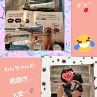 あかね