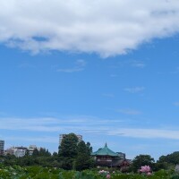 のあ