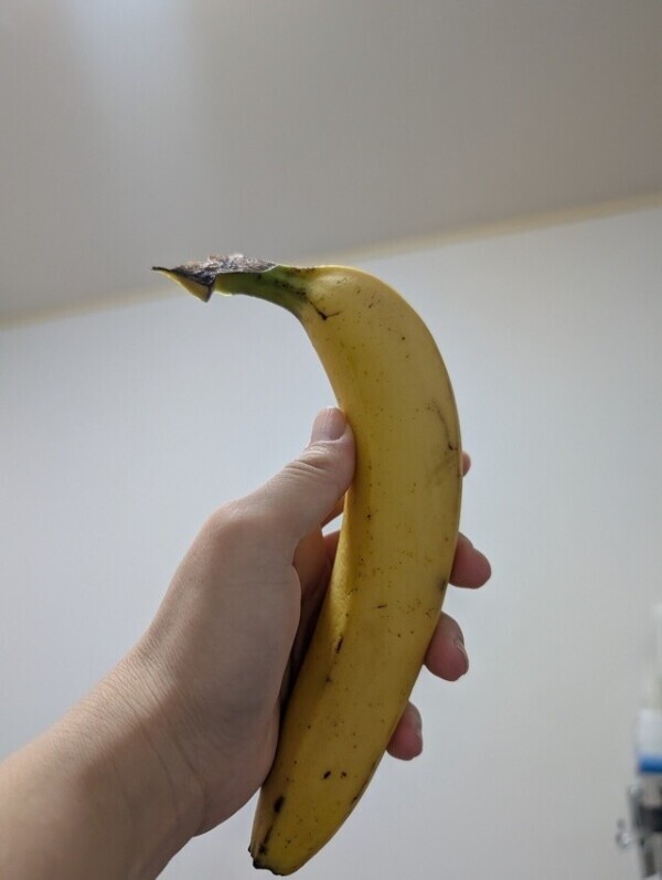 朝はコレからスタート🍌