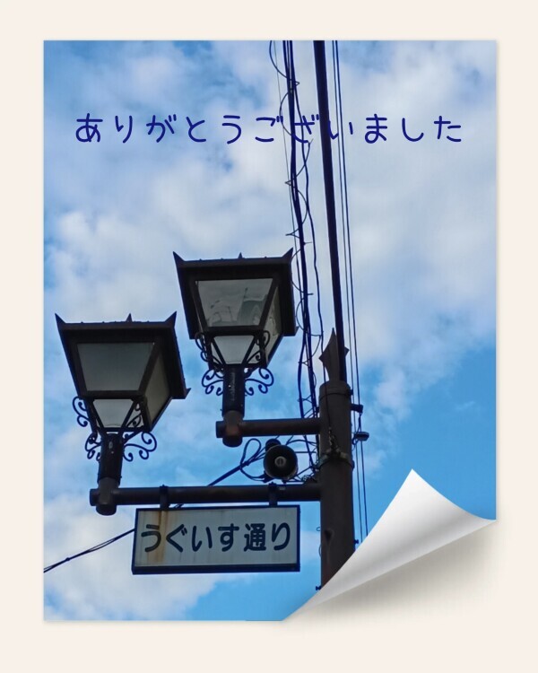 今日は