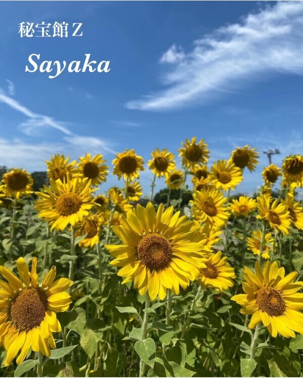 ♡さやかです♡