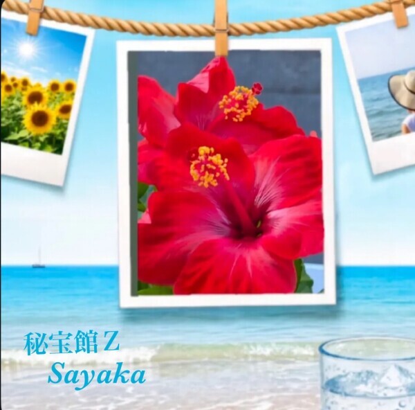 感謝♡さやかです♡