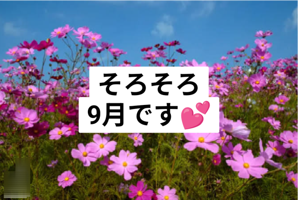 8月もカウントダウン❗