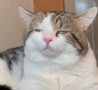 おはようございます