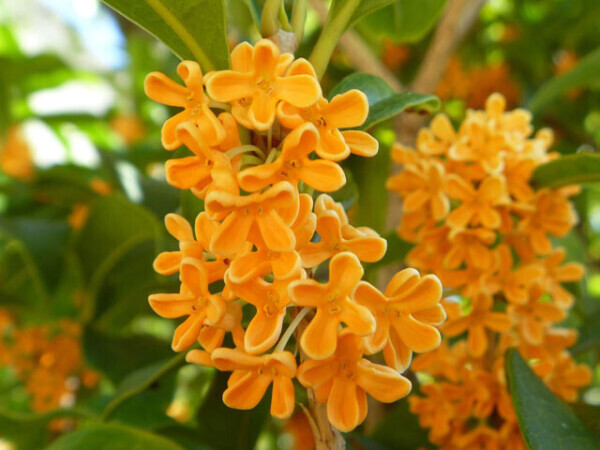 はじめまして😊