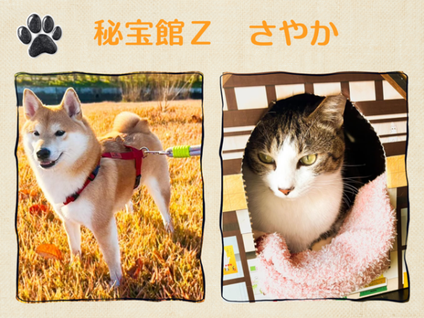 ♡さやかです♡